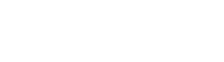 Einstein Investigations